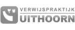 vpuh_logo_gray